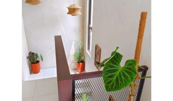 Rumah di Kota Baru Parahyangan